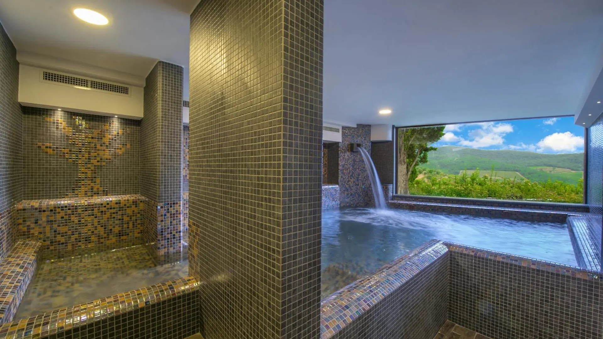 My Exclusive Italy - Villa Chianti With Panoramic Pool On The Vineyard Greve in Chianti 0*,