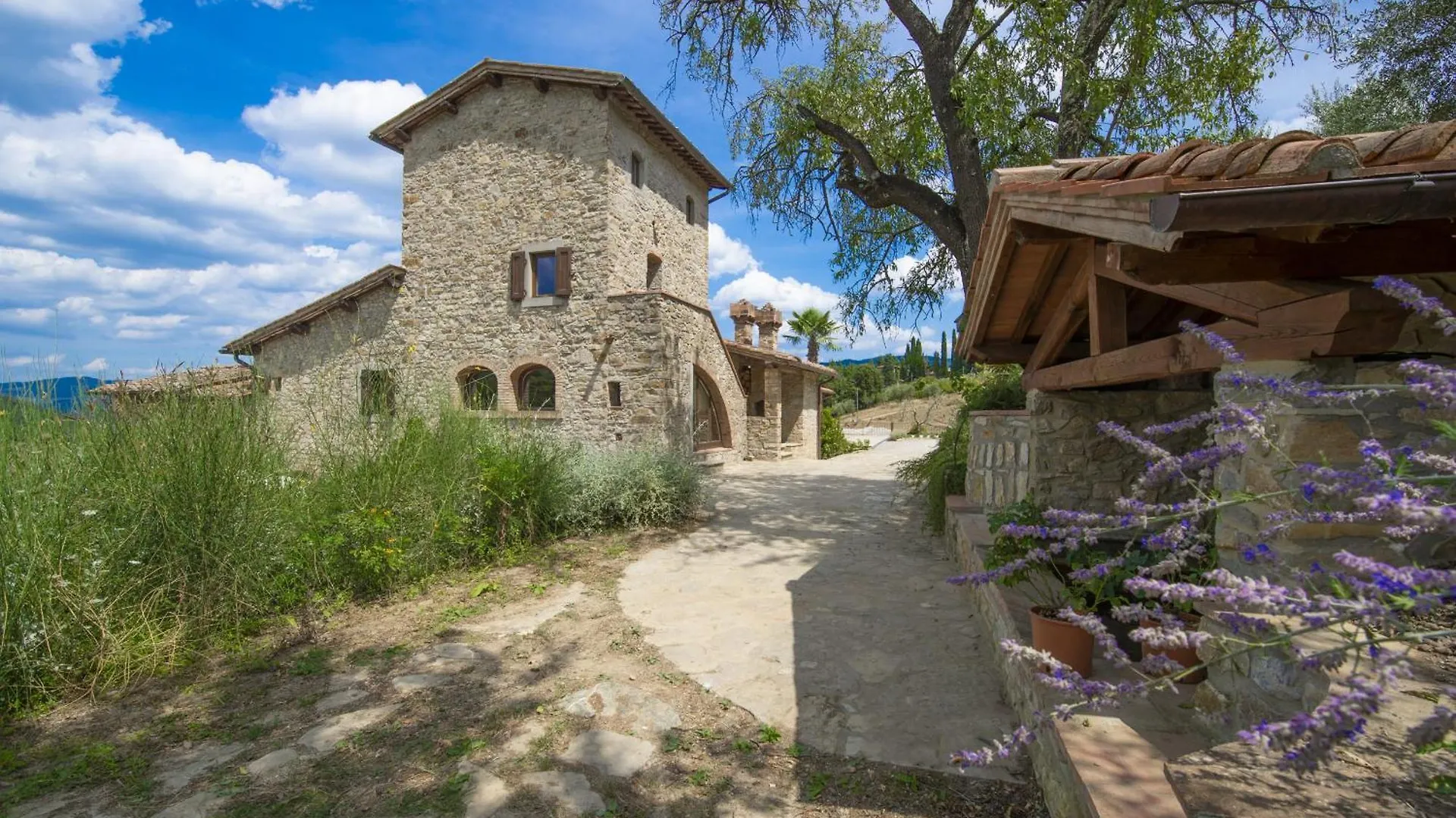 My Exclusive Italy - Villa Chianti With Panoramic Pool On The Vineyard Greve in Chianti