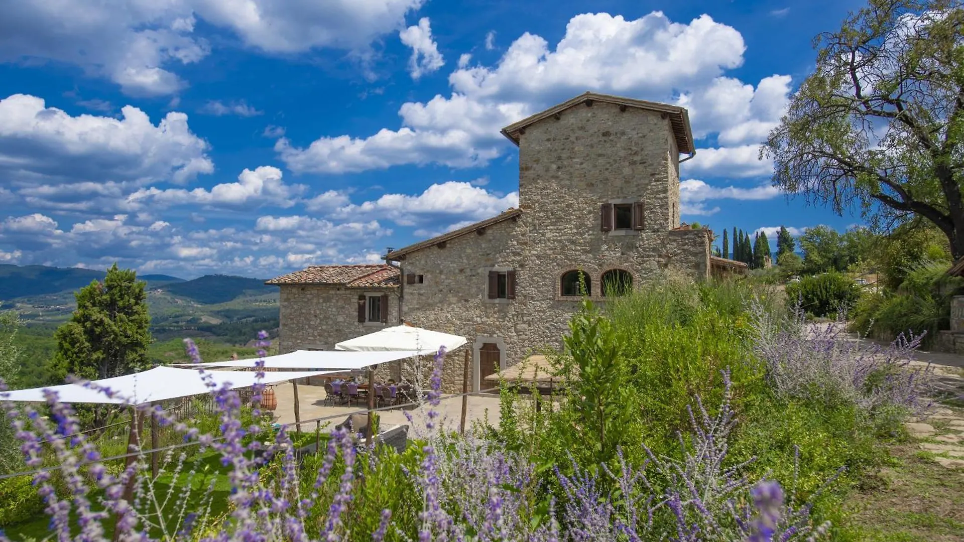 My Exclusive Italy - Villa Chianti With Panoramic Pool On The Vineyard Greve in Chianti